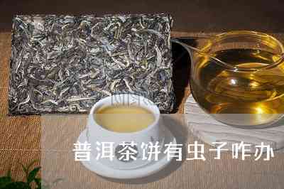 普洱茶里面喝出虫子怎么办