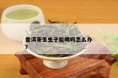 普洱茶里面喝出虫子怎么办