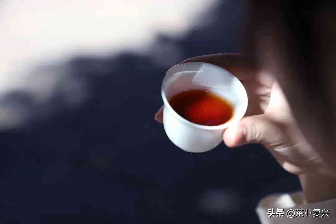 老同志普洱茶1957良品