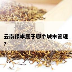 楚雄普洱茶