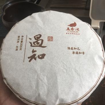 知礼普洱茶