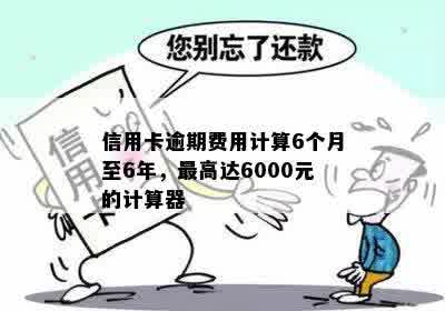 全面了解信用卡逾期费用计算：从6000元到各种情况下的详细解析