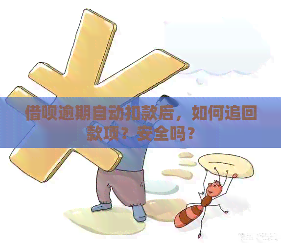 关于借呗自动还款，如何申请退回款项的全面解答