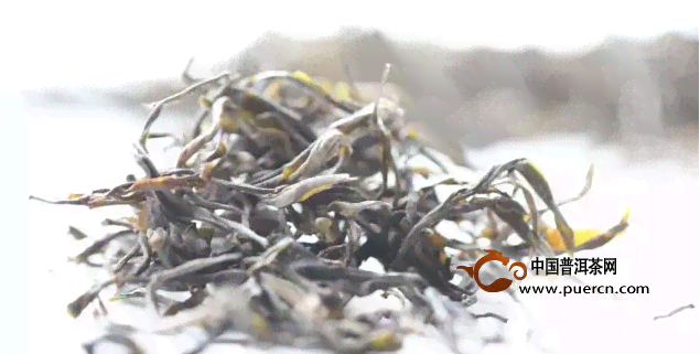 鑫寨普洱茶：源自云南的特色茶叶品种与独特魅力解析