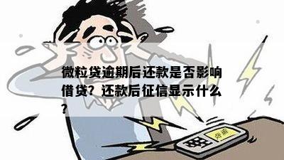 微粒贷逾期能查到吗