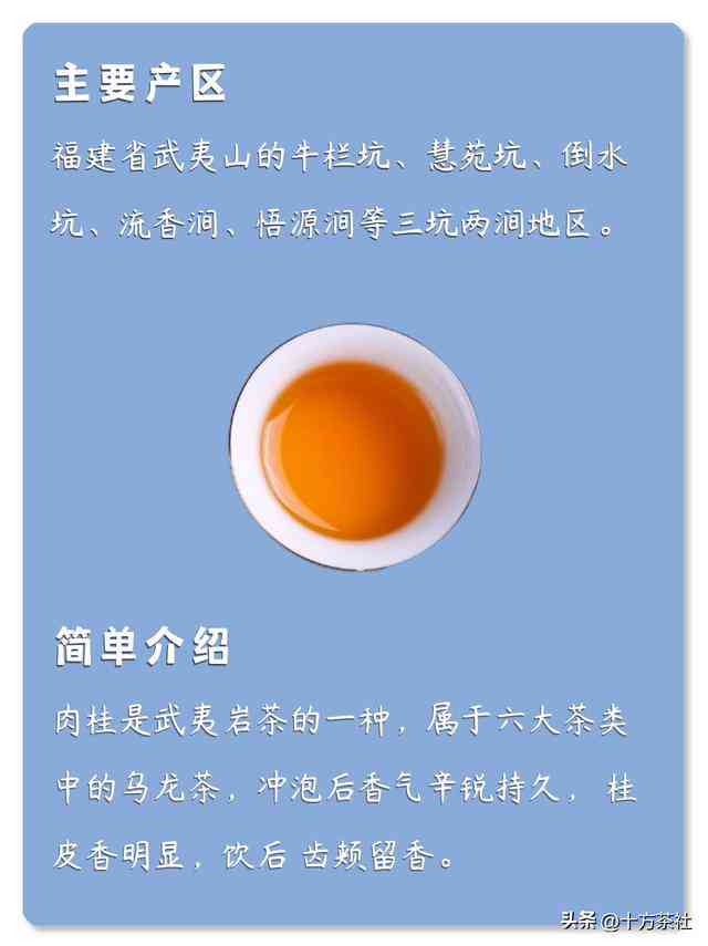 肉风味的武夷岩茶和普洱茶，哪一款更适合你？