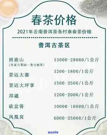 全面了解新普洱茶价格：影响因素、市场行情及购买建议