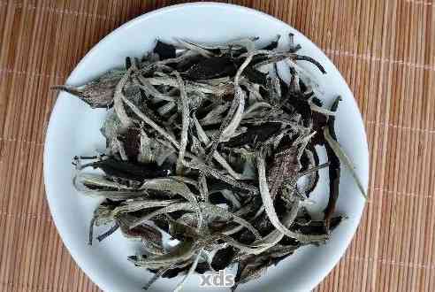 云南普洱白茶的价格范围、品质鉴别与购买指南：你需要了解的一切