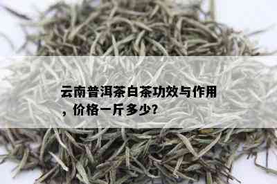 云南白茶价格指南：一斤茶叶多少钱？影响云南白茶价格的因素有哪些？