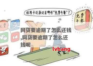 网贷还款攻略：六大关键点助您轻松管理债务