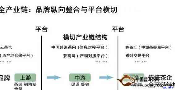 石家优质普洱茶招商平台推荐，渠道招商全解析