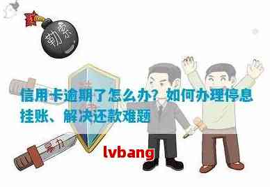 信用卡逾期了怎么办：处理停息挂账，避免损失