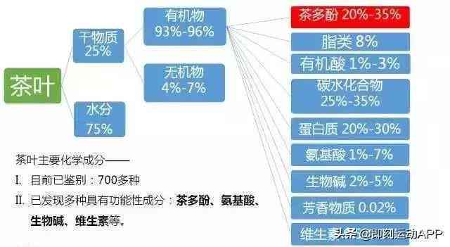 针对胖人群的茶叶选择指南：从科学角度剖析各类茶叶的功效与适用对象