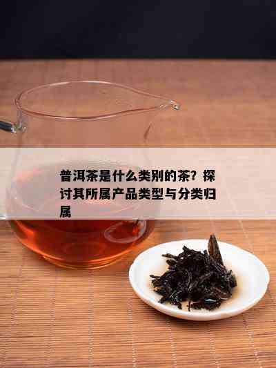 普洱茶饼的分类：探讨其属于哪种类型的茶叶