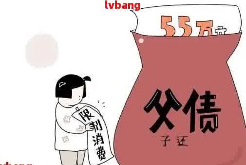 无法偿还子女网贷，母是否应承担责任？