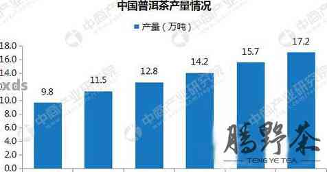 成都普洱茶消费群体及其相关企业概述，助您全面了解成都市场动态