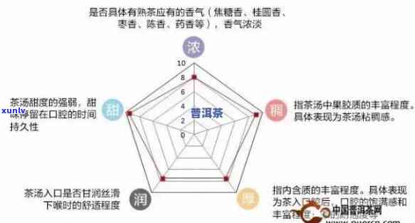 深度解读：普洱茶品质评级与个人口感体验对比