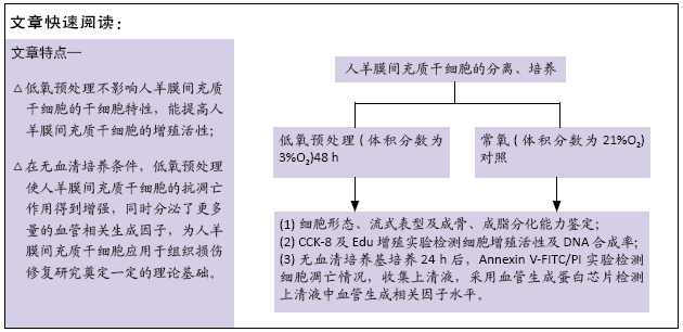 莫西沙皮革特性解析：质量、耐用性与环保