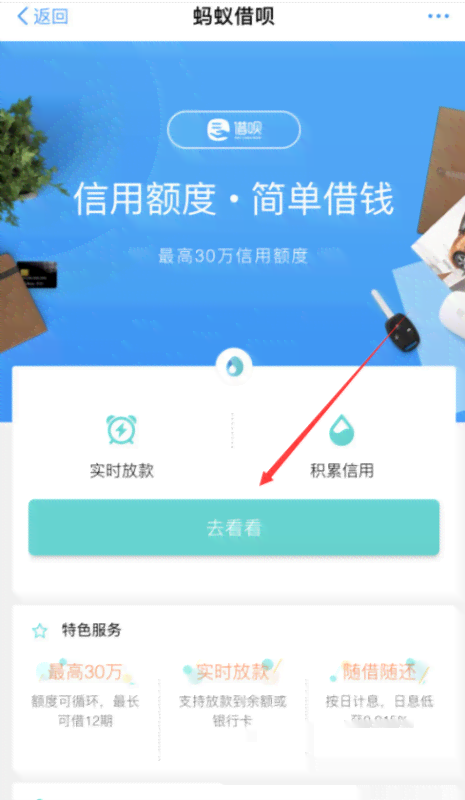 如何查询并了解蚂蚁借呗对公账户信息？解答您关于该功能的全方位疑问