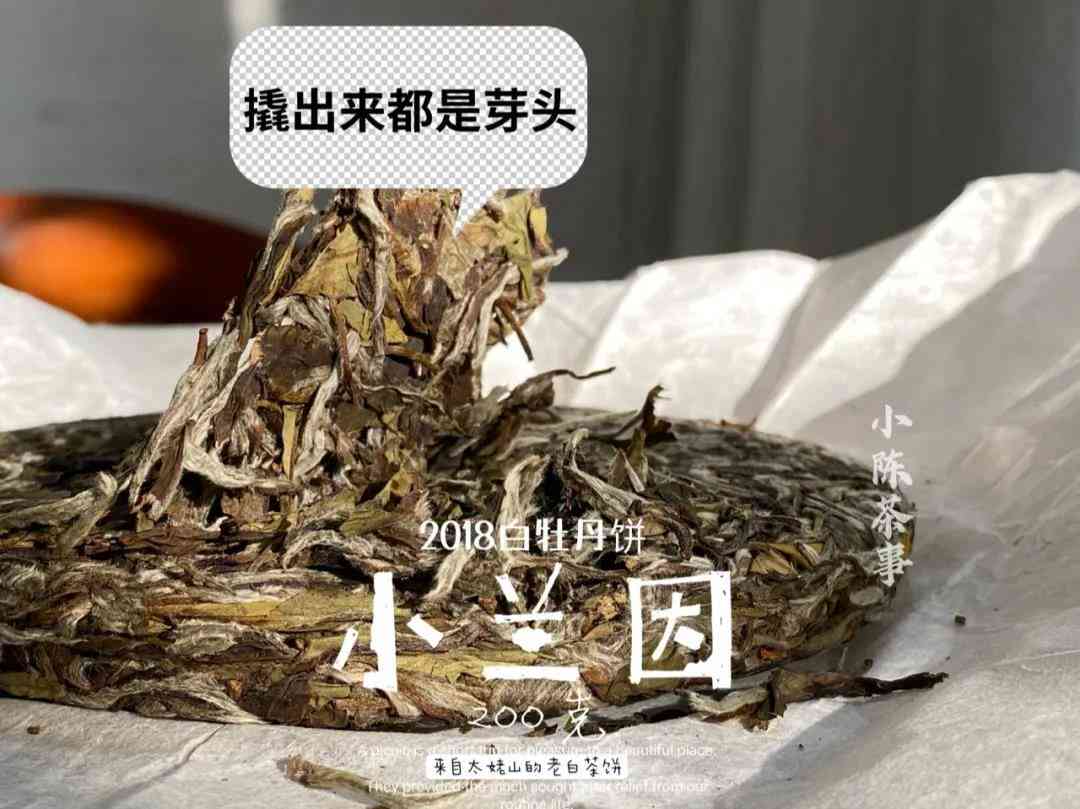 普洱茶里有老白茶吗能喝吗？普洱茶有白色的吗？普洱茶有白茶没有？