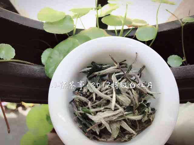 普洱茶有白茶没有红茶黄茶黑茶，这些都是普洱茶的品种吗？