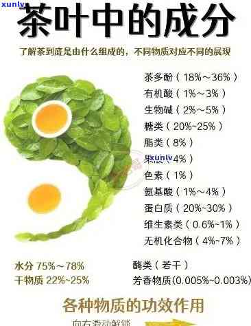 元气茶饮配方与制作方法，探究其英文含义及茶的文化内涵