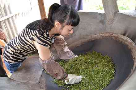 普洱茶杀青是什么意思：工艺细节、目的及意义。