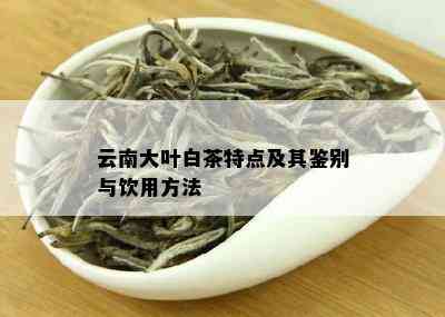 福海普洱茶7536:源自云南的独特风味与健益处