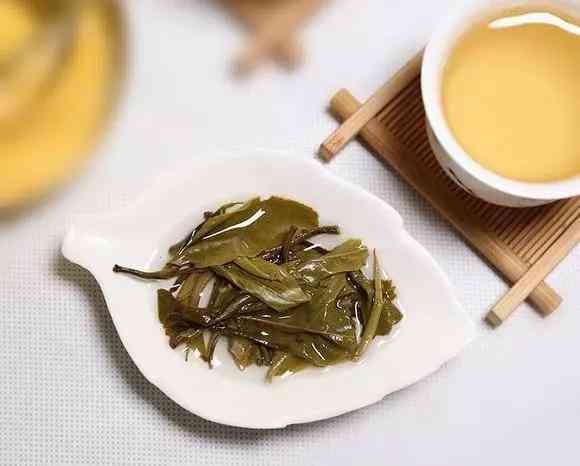 普洱茶的三个阶：生茶、熟茶、老茶。