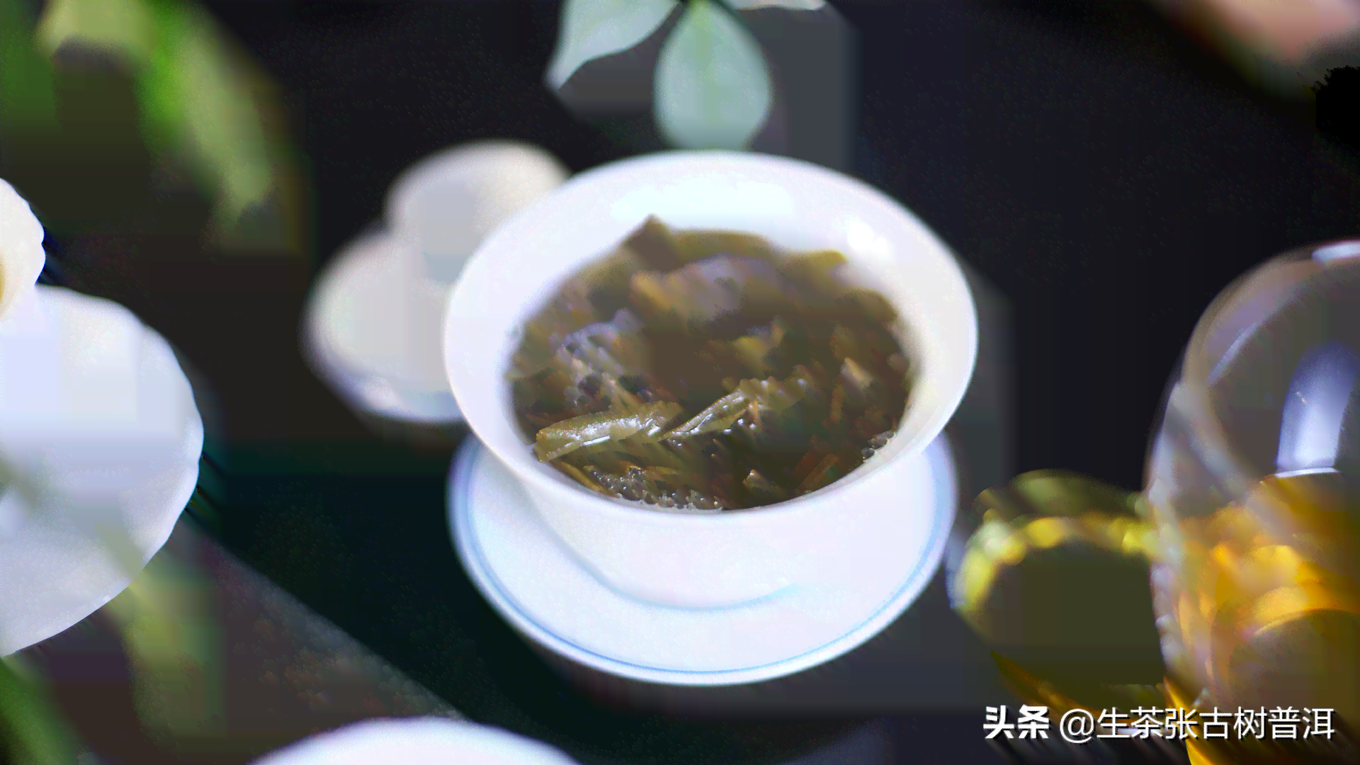 普洱茶的三个阶：生茶、熟茶、老茶。