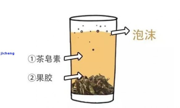 普洱茶沫使用方法及产生原理：探究普洱茶泡沫的用量与大小