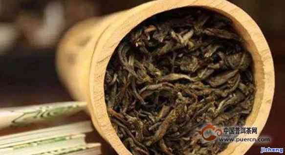 樟香普洱茶的种类及其特点：一份详尽指南