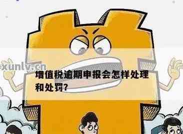 逾期报税罚款如何处理？如何查看已缴纳的税款和罚款？