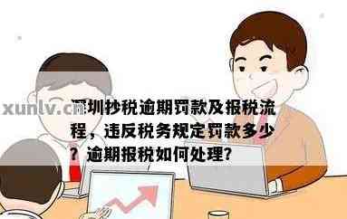 逾期报税罚款如何处理？如何查看已缴纳的税款和罚款？