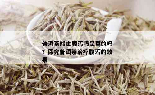 普洱茶对腹泻的全面疗效：了解其原理与适用人群，有效缓解肠胃不适