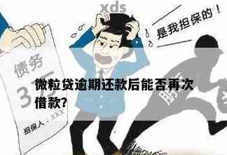 两年后逾期还款清偿完，能否再次获得贷款？