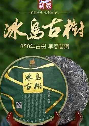 冰岛普洱茶：价格解析与品鉴指南