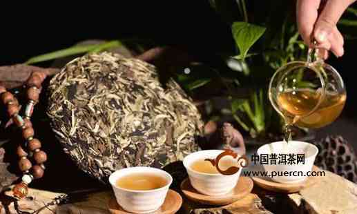 清晨饮普洱茶：助减肥的新选择