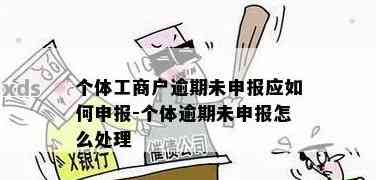 个体工商户报超期：一个月的如何应对与解决？