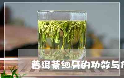 普洱茶牙娟属于什么茶？