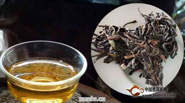 茶宾古树普洱茶：一款口感与品质并重的茶叶佳品