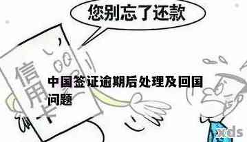 出国逾期未归办理新签证怎么处罚：逾期出境、过期未归后果全解析