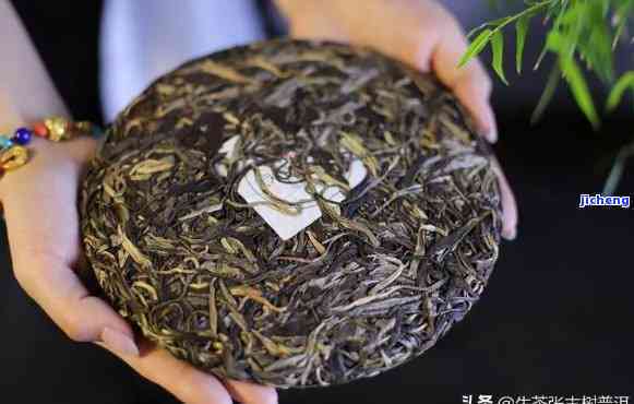 福金普洱茶早春萍饼：精选生茶制作，口感醇厚，价格亲民