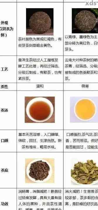 国茶和普洱茶的区别、功效及适用人群全面解析，帮助你选择合适的茶叶