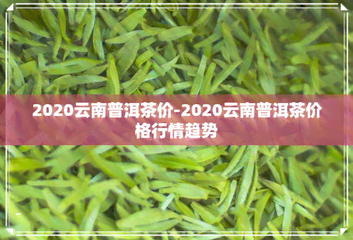 2020年云南普洱茶市场价格：官方指南与行业动态分析