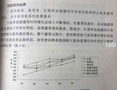 普洱茶脂肪酶含量：高能饮用与女性适宜性探讨