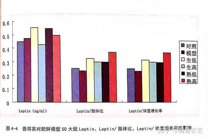 普洱茶脂肪酶含量：高能饮用与女性适宜性探讨