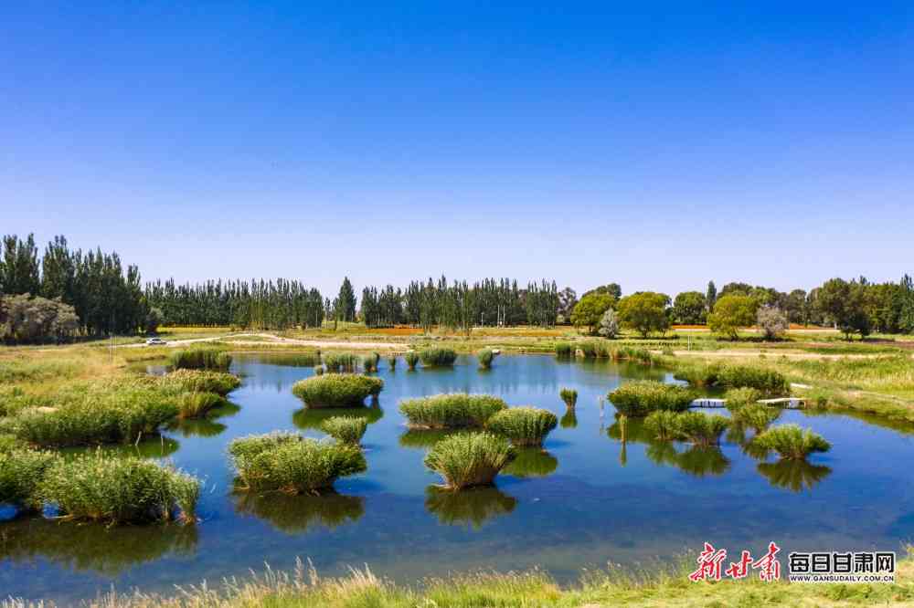 托什干河湿地公园的自然之美与生态价值