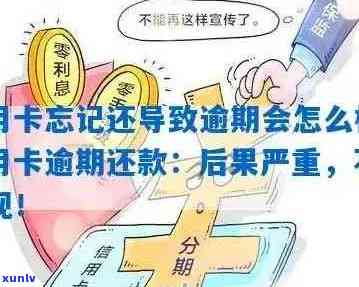 信用卡多行逾期还款攻略：如何处理、办理及相关注意事项