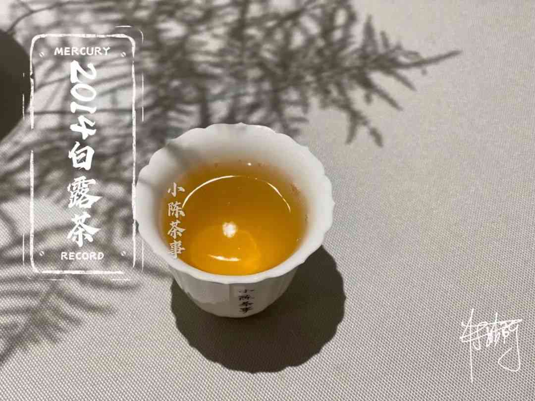 白露普洱茶